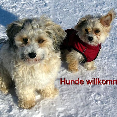 Fewo C2 für bis zu 2 Personen St. Blasien Exterior foto