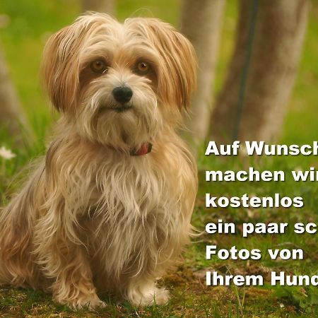 Fewo C2 für bis zu 2 Personen St. Blasien Exterior foto