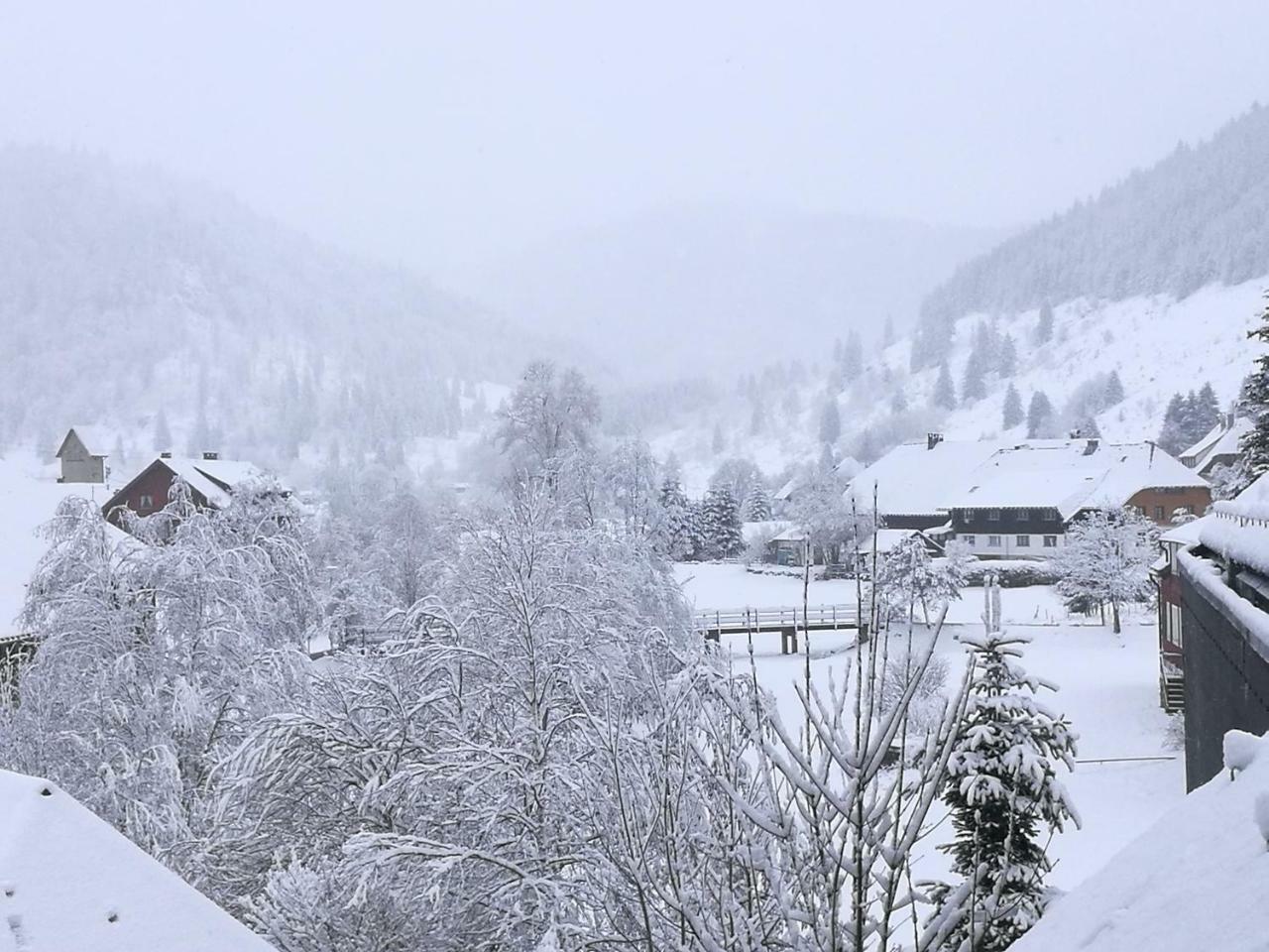 Fewo C2 für bis zu 2 Personen St. Blasien Exterior foto